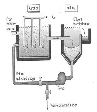 Activated Sludge Process