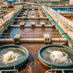 Advanced Oxidation in Wastewater Treatment