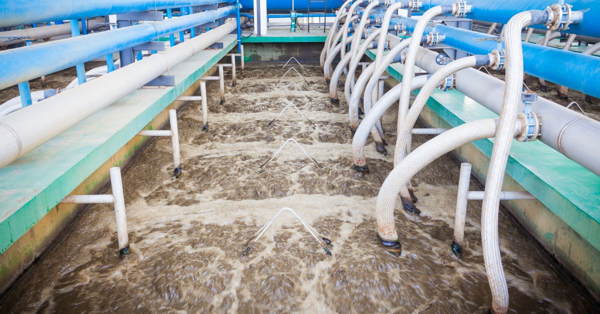 role of microbes in sewage treatment