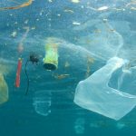 what is marine pollution