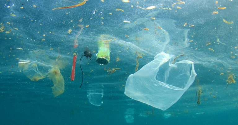 what is marine pollution