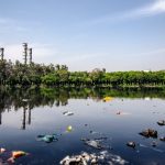 what is solid waste management