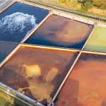sewage treatment using microbes