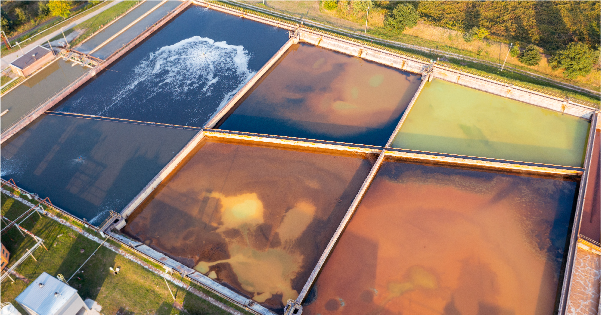 sewage treatment using microbes