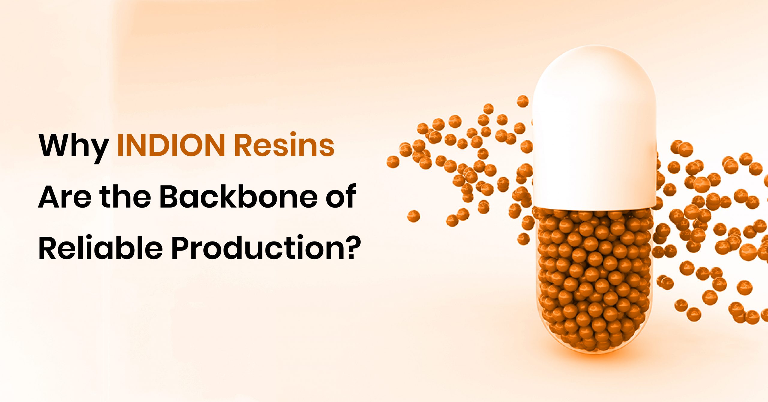 INDION Resins