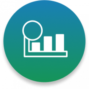 Icon 3