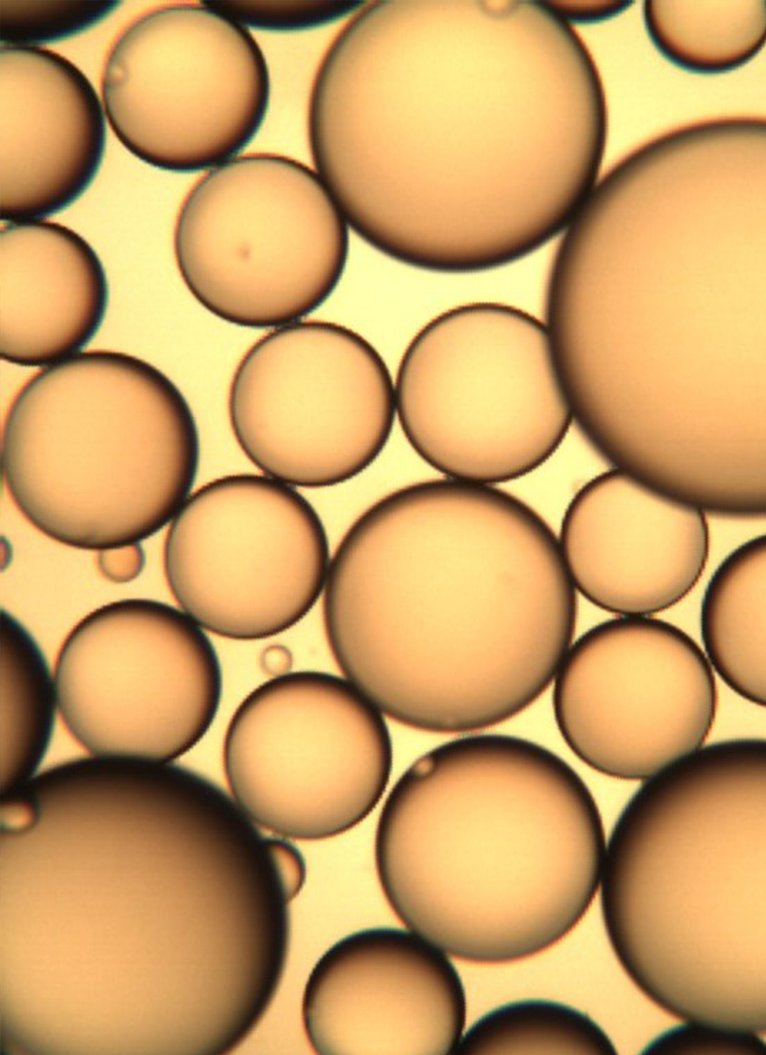 Resins & Specialty Chemicals – High-performance resins for a range of industrial applications.
